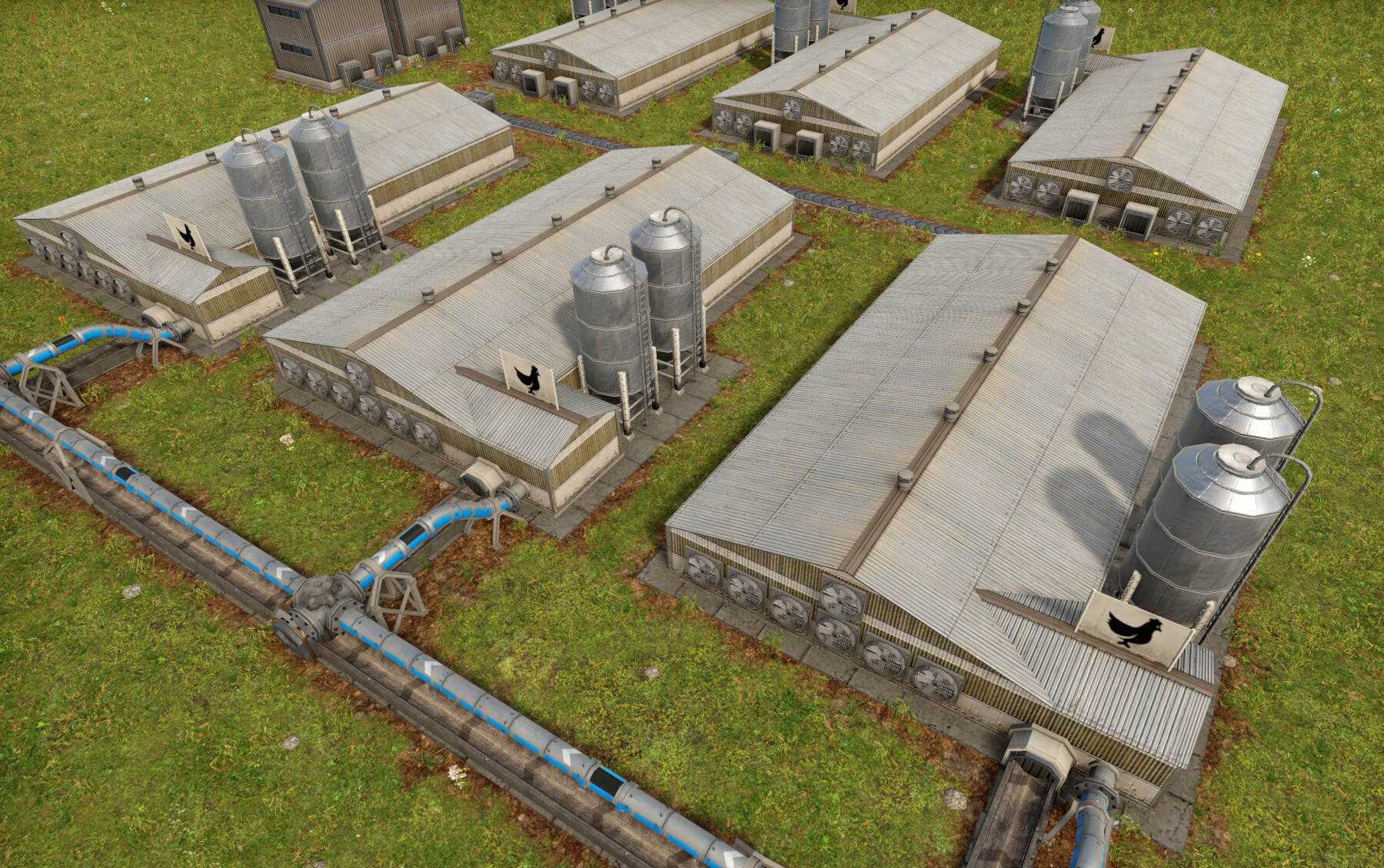 Chicken farms which house ... chickens